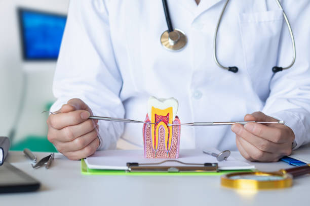 Best Emergency Wisdom Teeth Removal in Kirkland, IL